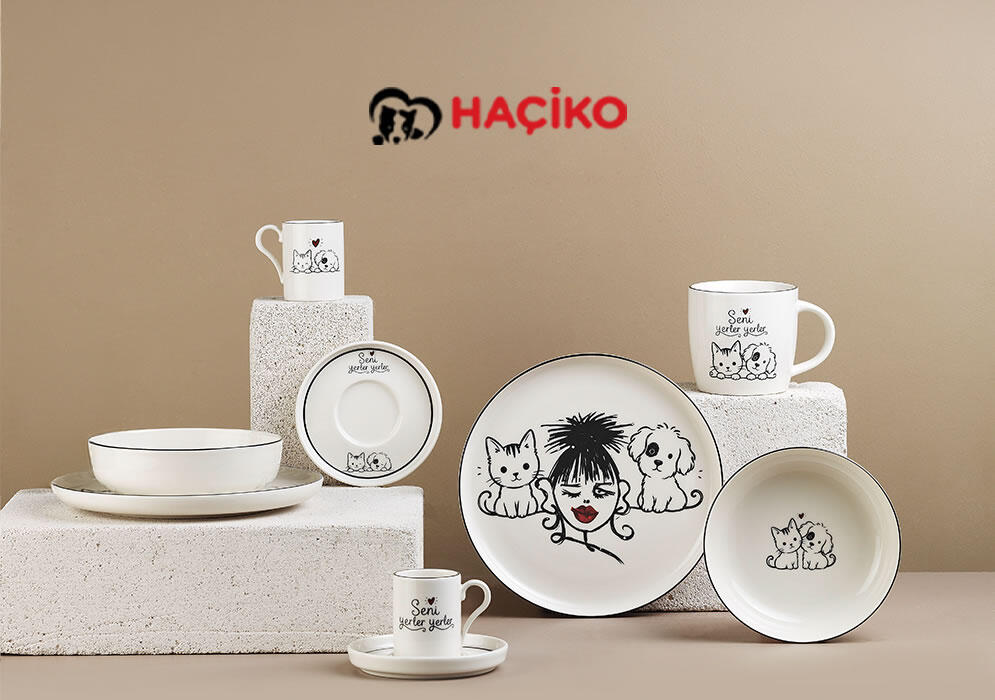Yol Arkadaşım x Haçiko